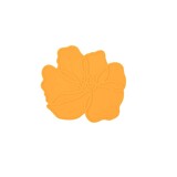 Tools2cook Tools2cook - onderzetter - poppy orange