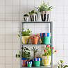 Aveva Design Aveva design - bloempot vilt L - carnival Aveva Design Aveva design - bloempot vilt L - carnival