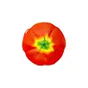 Charles Viancin Charles Viancin - siliconen deksel - tomato (15 cm) Charles Viancin Charles Viancin - siliconen deksel - tomato (15 cm)