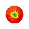 Charles Viancin Charles Viancin - siliconen deksel - tomato (23 cm) Charles Viancin Charles Viancin - siliconen deksel - tomato (23 cm)