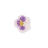 Sjaal met verhaal Sjaal met verhaal - broche - viooltje wit-lila Sjaal met verhaal Sjaal met verhaal - broche - viooltje wit-lila