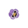 Sjaal met verhaal Sjaal met verhaal - broche - viooltje lila Sjaal met verhaal Sjaal met verhaal - broche - viooltje lila