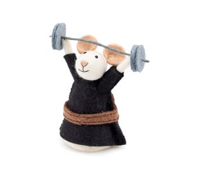 Sjaal met verhaal Sjaal met verhaal - decoratie - muis gewichtheffer Sjaal met verhaal Sjaal met verhaal - decoratie - muis gewichtheffer