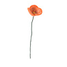 Aveva Design Aveva design - bloem vilt - poppy orange Aveva Design Aveva design - bloem vilt - poppy orange