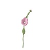 Aveva Design Aveva design - bloem vilt - wild rose pink Aveva Design Aveva design - bloem vilt - wild rose pink