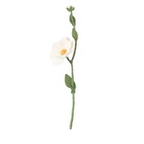 Aveva Design Aveva design - bloem vilt - wild rose white Aveva Design Aveva design - bloem vilt - wild rose white