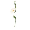 Aveva Design Aveva design - bloem vilt - wild rose white Aveva Design Aveva design - bloem vilt - wild rose white