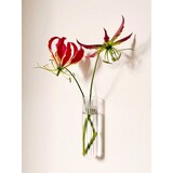 Muurbloempjes Muurbloempjes - magnetisch muurvaasje XL - transparant