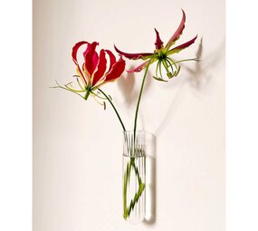 Muurbloempjes Muurbloempjes - magnetisch muurvaasje XL - transparant