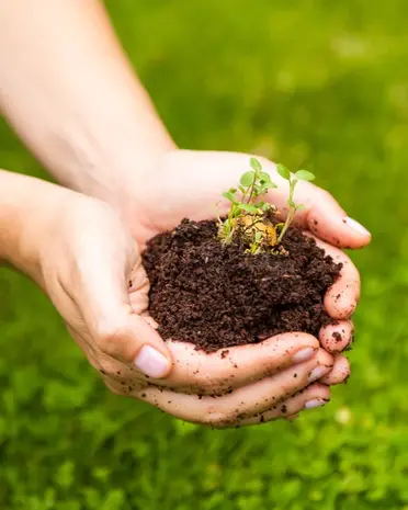 Blossombs Blossombs - bloembommetjes (2 stuks) - lieve juf Blossombs Blossombs - bloembommetjes (2 stuks) - lieve juf