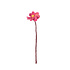 Aveva design - bloem vilt - dahlia berry Aveva design - bloem vilt - dahlia berry