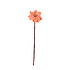 Aveva design - bloem vilt - dahlia peach Aveva design - bloem vilt - dahlia peach
