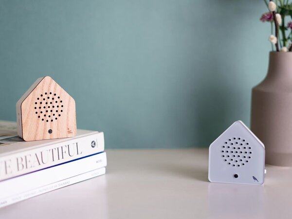 Zwitscherbox Zwitscherbox/Relaxound - satellite box blackbird - wood