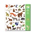 Djeco - stickers - fauna Djeco - stickers - fauna