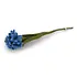 Gry & sif - bloem cornflower - bright blue Gry & sif - bloem cornflower - bright blue