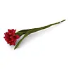 Gry & Sif Gry & sif - bloem cornflower - cerise Gry & Sif Gry & sif - bloem cornflower - cerise