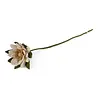 Gry & Sif Gry & sif - bloem - waterlily Gry & Sif Gry & sif - bloem - waterlily