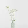 Foekje Fleur Foekje Fleur - porcelain bottle vase - #18 dusty mint Foekje Fleur Foekje Fleur - porcelain bottle vase - #18 dusty mint