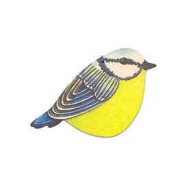 Ask a duck Ask a duck - houten hanger - pimpelmees Ask a duck Ask a duck - houten hanger - pimpelmees
