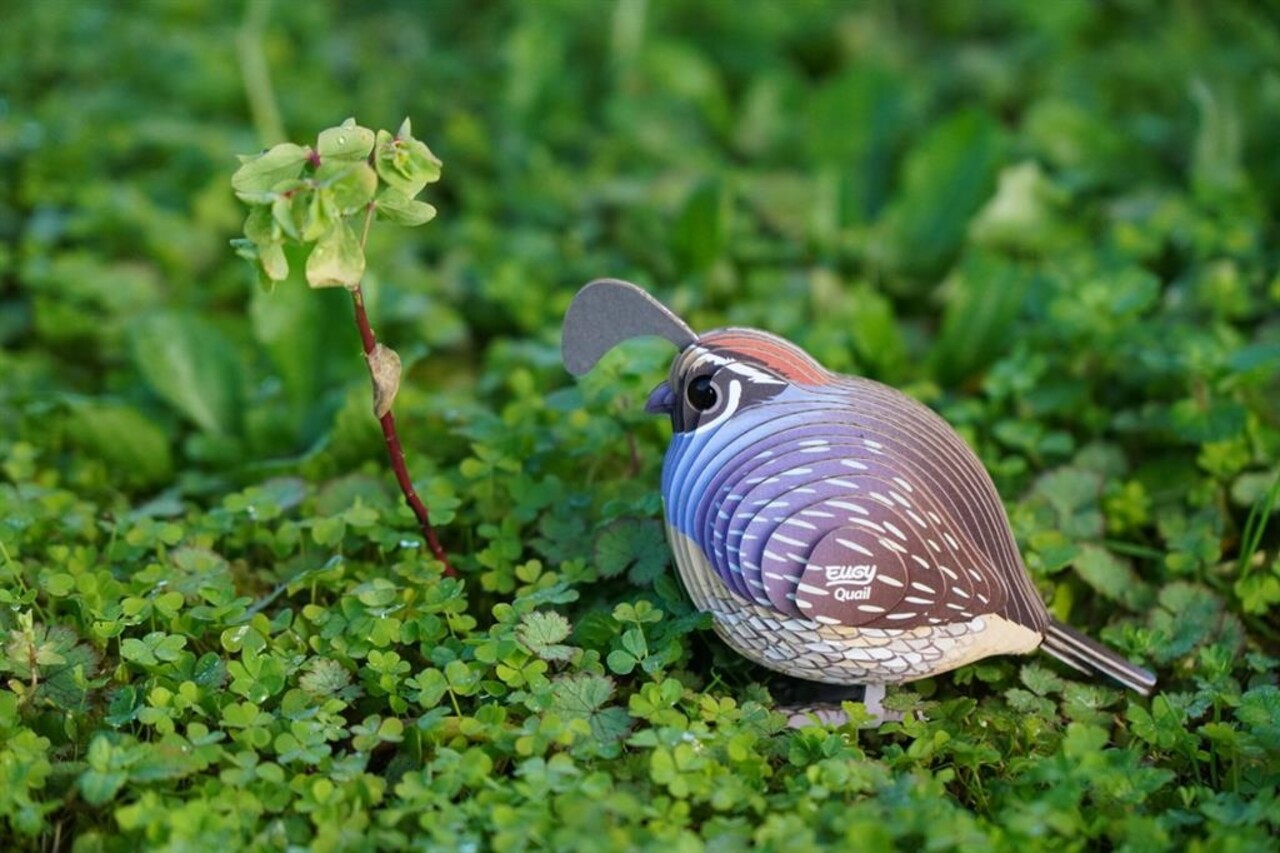 Eugy Eugy - 3d model - kwartel (nr 129) Eugy Eugy - 3d model - kwartel (nr 129)