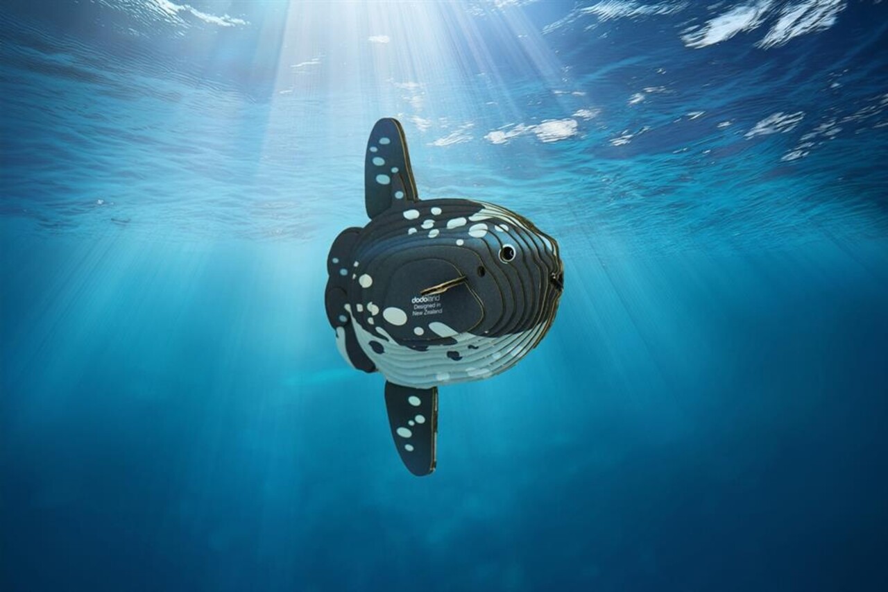 Eugy Eugy - 3d model - maanvis (nr 132) Eugy Eugy - 3d model - maanvis (nr 132)