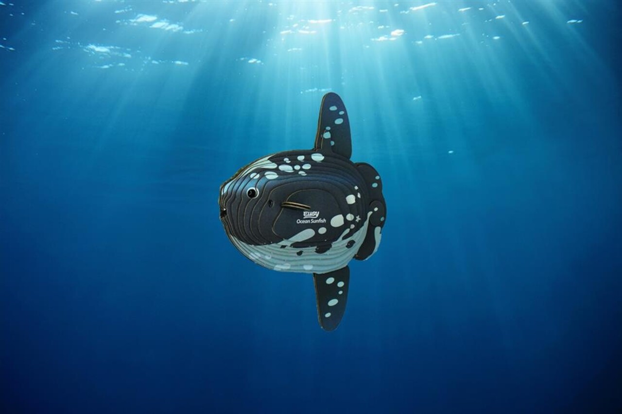 Eugy Eugy - 3d model - ocean sunfish (nr 132)