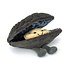 Jellycat - amuseables knuffel - michelle mussel Jellycat - amuseables knuffel - michelle mussel