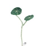 Aveva Design Aveva design - tak vilt - stephania