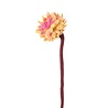 Aveva Design Aveva design - bloem vilt - dahlia karma Aveva Design Aveva design - bloem vilt - dahlia karma