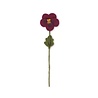 Sjaal met verhaal Sjaal met verhaal - bloem viooltje - burgundy/paars Sjaal met verhaal Sjaal met verhaal - bloem viooltje - burgundy/paars