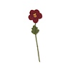 Sjaal met verhaal Sjaal met verhaal - bloem viooltje - bordeaux/burgundy Sjaal met verhaal Sjaal met verhaal - bloem viooltje - bordeaux/burgundy
