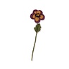 Sjaal met verhaal Sjaal met verhaal - bloem viooltje - violet/okergeel Sjaal met verhaal Sjaal met verhaal - bloem viooltje - violet/okergeel