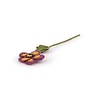 Sjaal met verhaal Sjaal met verhaal - bloem viooltje - violet/okergeel Sjaal met verhaal Sjaal met verhaal - bloem viooltje - violet/okergeel
