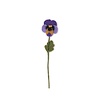 Sjaal met verhaal Sjaal met verhaal - bloem viooltje - paars/okergeel Sjaal met verhaal Sjaal met verhaal - bloem viooltje - paars/okergeel