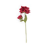 Sjaal met verhaal Sjaal met verhaal - bloem dahlia xl - wijnrood Sjaal met verhaal Sjaal met verhaal - bloem dahlia xl - wijnrood