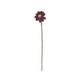 Sjaal met verhaal Sjaal met verhaal - bloem margrietje - paars Sjaal met verhaal Sjaal met verhaal - bloem margrietje - paars