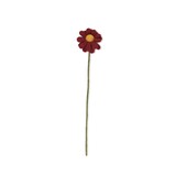 Sjaal met verhaal Sjaal met verhaal - bloem margrietje - bordeaux Sjaal met verhaal Sjaal met verhaal - bloem margrietje - bordeaux
