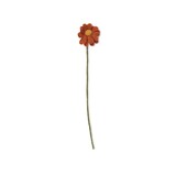 Sjaal met verhaal Sjaal met verhaal - bloem margrietje - cognac Sjaal met verhaal Sjaal met verhaal - bloem margrietje - cognac