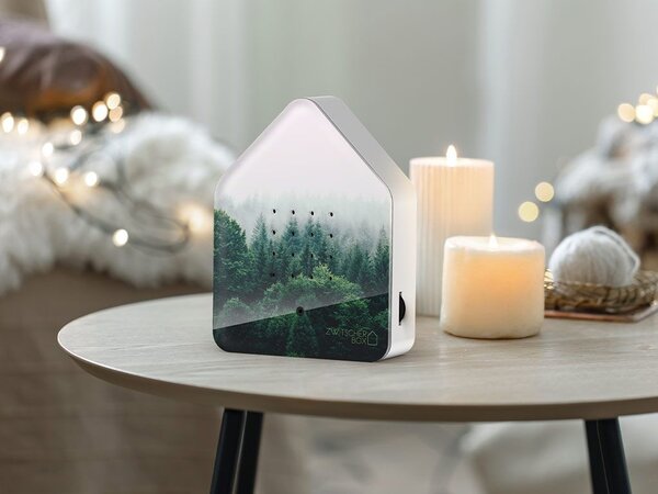 Zwitscherbox Zwitscherbox - vogelhuis relaxing - morning forest (limited ed.) Zwitscherbox Zwitscherbox - vogelhuis relaxing - morning forest (limited ed.)