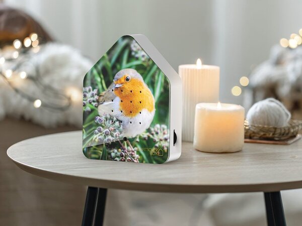 Zwitscherbox Zwitscherbox - vogelhuis relaxing - robin redbreast (limited ed.) Zwitscherbox Zwitscherbox - vogelhuis relaxing - robin redbreast (limited ed.)