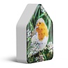 Zwitscherbox Zwitscherbox/Relaxound - vogelhuis relaxing - robin redbreast (limited ed.)