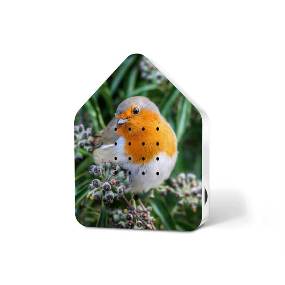 Zwitscherbox Zwitscherbox - vogelhuis relaxing - robin redbreast (limited ed.) Zwitscherbox Zwitscherbox - vogelhuis relaxing - robin redbreast (limited ed.)