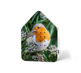 Zwitscherbox Zwitscherbox - vogelhuis relaxing - robin redbreast (limited ed.)