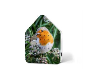 Zwitscherbox Zwitscherbox - vogelhuis relaxing - robin redbreast (limited ed.) Zwitscherbox Zwitscherbox - vogelhuis relaxing - robin redbreast (limited ed.)