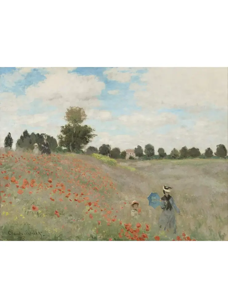 Kunstsokken Kunstsokken - klaprozen Kunstsokken Kunstsokken - klaprozen