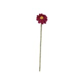Sjaal met verhaal Sjaal met verhaal - bloem margrietje - burgundy Sjaal met verhaal Sjaal met verhaal - bloem margrietje - burgundy