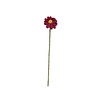Sjaal met verhaal Sjaal met verhaal - bloem margrietje - burgundy Sjaal met verhaal Sjaal met verhaal - bloem margrietje - burgundy