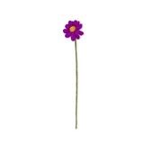 Sjaal met verhaal Sjaal met verhaal - bloem margrietje - violet Sjaal met verhaal Sjaal met verhaal - bloem margrietje - violet
