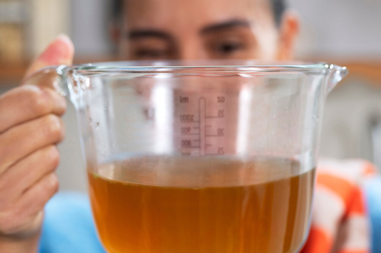 Mepal Mepal - chef it maatbeker glas met deksel 1000 ml - nordic sage