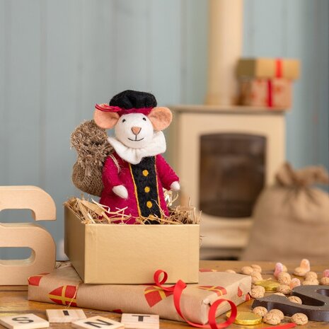 Sjaal met verhaal Sjaal met verhaal - decoratie - pietermuis cyclaam Sjaal met verhaal Sjaal met verhaal - decoratie - pietermuis cyclaam